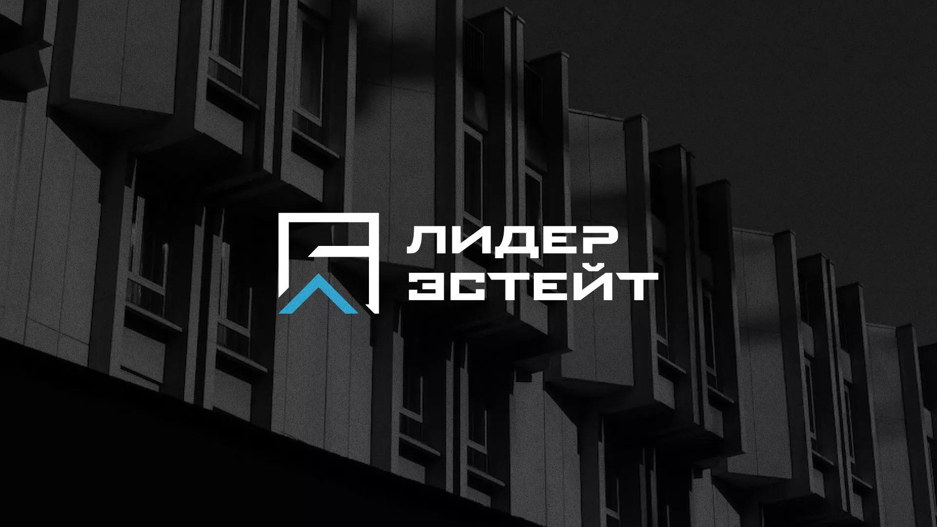 Разработка логотипа агентства недвижимости «Лидер Эстейт» в Новоалександровске